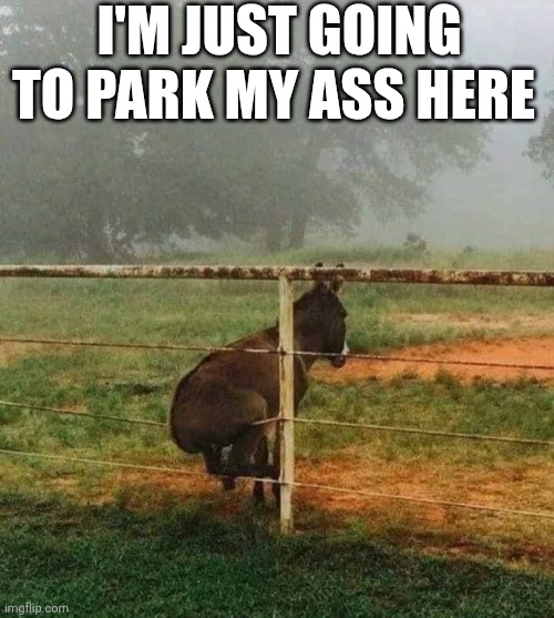 I'm Just Going To Park My Ass Here | I'M JUST GOING TO PARK MY ASS HERE | image tagged in chrisjoines1 | made w/ Imgflip meme maker