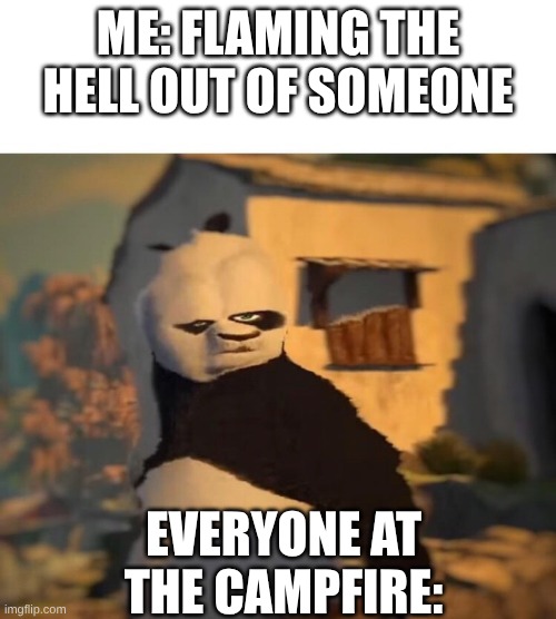 bro what | ME: FLAMING THE HELL OUT OF SOMEONE; EVERYONE AT THE CAMPFIRE: | image tagged in drunk kung fu panda | made w/ Imgflip meme maker