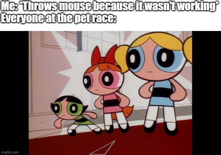 Either an actual mouse or a computer's mouse... | Me: *Throws mouse because it wasn't working*
Everyone at the pet race: | image tagged in powerpuff girls wat,powerpuff girls,memes,mouse | made w/ Imgflip meme maker
