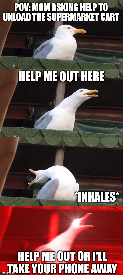 Inhaling Seagull Meme | POV: MOM ASKING HELP TO UNLOAD THE SUPERMARKET CART; HELP ME OUT HERE; *INHALES*; HELP ME OUT OR I'LL TAKE YOUR PHONE AWAY | image tagged in memes,inhaling seagull | made w/ Imgflip meme maker