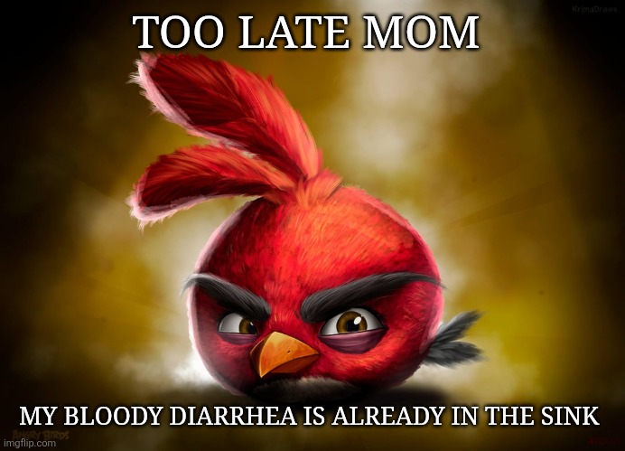 Realistic ruby Angry Birds | TOO LATE MOM; MY BLOODY DIARRHEA IS ALREADY IN THE SINK | image tagged in realistic ruby angry birds | made w/ Imgflip meme maker