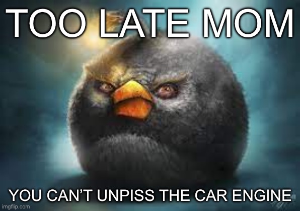 realistic angry bird | TOO LATE MOM; YOU CAN’T UNPISS THE CAR ENGINE | image tagged in realistic angry bird | made w/ Imgflip meme maker