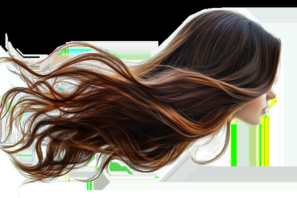 Flowing Hair Blank Meme Template