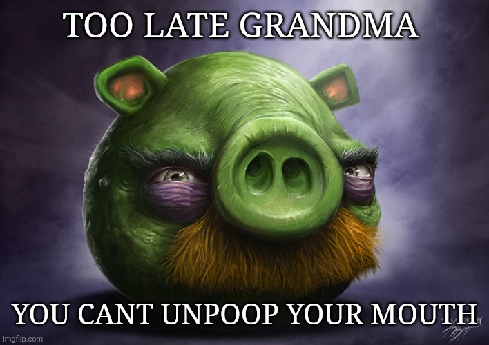 Realistic angry birds | TOO LATE GRANDMA; YOU CANT UNPOOP YOUR MOUTH | image tagged in realistic angry birds | made w/ Imgflip meme maker