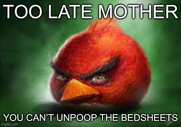 Realistic Red Angry Birds | TOO LATE MOTHER; YOU CAN’T UNPOOP THE BEDSHEETS | image tagged in realistic red angry birds | made w/ Imgflip meme maker