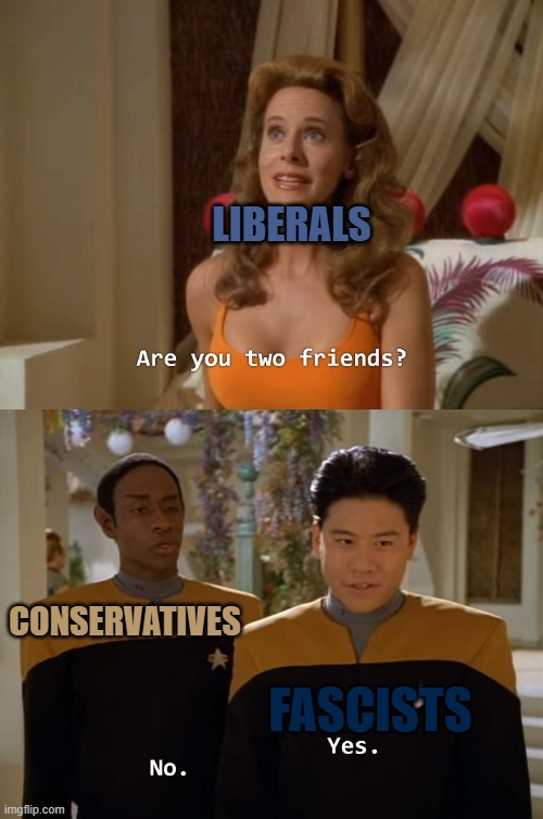 Fascism is anti conservative and will never be | LIBERALS; CONSERVATIVES; FASCISTS | image tagged in are you two friends,liberals,fascism,conservatives | made w/ Imgflip meme maker