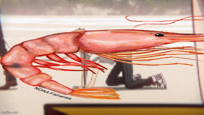 Me and wh- It's as shrimple as that. | made w/ Imgflip meme maker