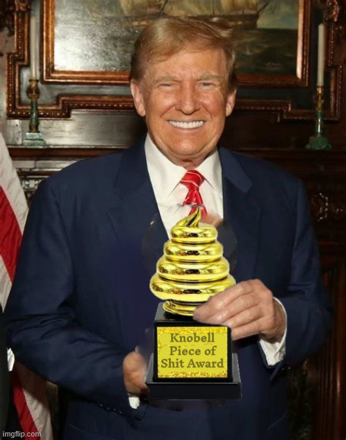Trump gets Knobell Prize | Knobell Piece of Shit Award | image tagged in trump gets knobell prize,trump is a pos,nobel peace prize,he earned it,maga momento | made w/ Imgflip meme maker