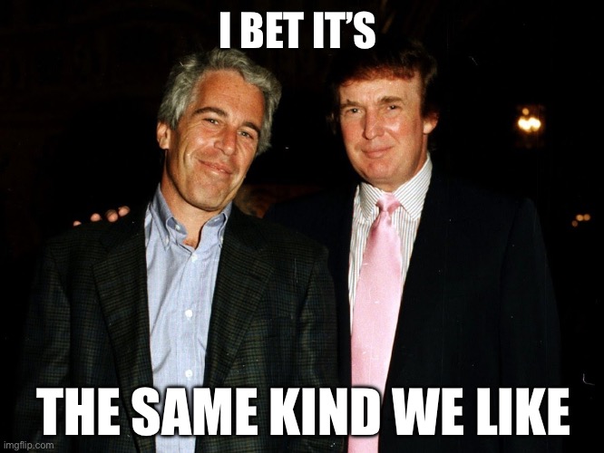 I BET IT’S THE SAME KIND WE LIKE | image tagged in trump epstein | made w/ Imgflip meme maker