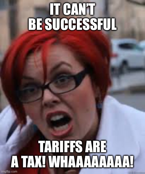 SJW Triggered | IT CAN’T BE SUCCESSFUL TARIFFS ARE A TAX! WHAAAAAAAA! | image tagged in sjw triggered | made w/ Imgflip meme maker