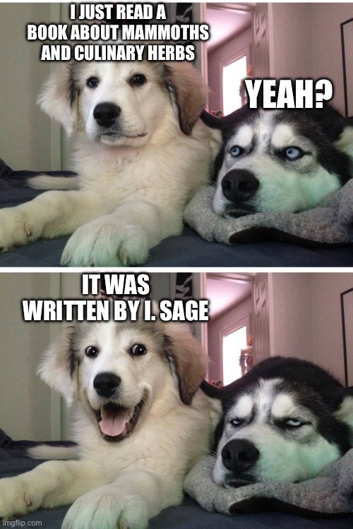 Bad pun dogs | I JUST READ A BOOK ABOUT MAMMOTHS AND CULINARY HERBS; YEAH? IT WAS WRITTEN BY I. SAGE | image tagged in bad pun dogs | made w/ Imgflip meme maker