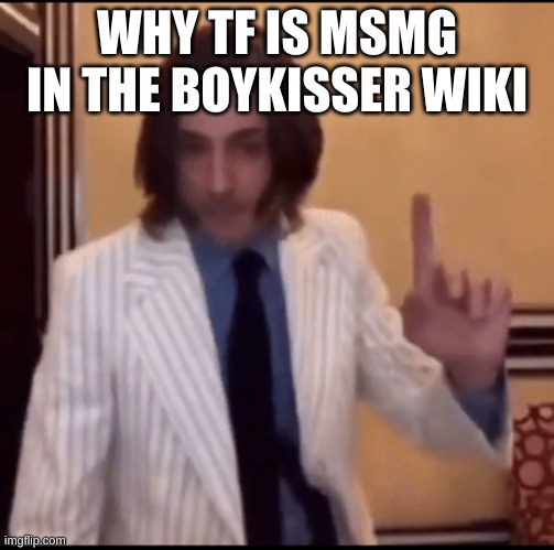 also the miraheze is the current msmg wiki right | WHY TF IS MSMG IN THE BOYKISSER WIKI | image tagged in item | made w/ Imgflip meme maker