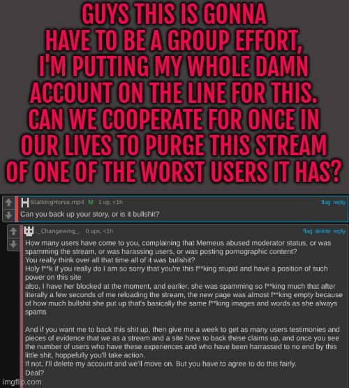 GUYS THIS IS GONNA HAVE TO BE A GROUP EFFORT, I'M PUTTING MY WHOLE DAMN ACCOUNT ON THE LINE FOR THIS. CAN WE COOPERATE FOR ONCE IN OUR LIVES TO PURGE THIS STREAM OF ONE OF THE WORST USERS IT HAS? | made w/ Imgflip meme maker