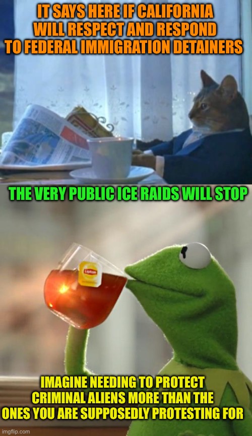 Politics is a dirty business | IT SAYS HERE IF CALIFORNIA WILL RESPECT AND RESPOND TO FEDERAL IMMIGRATION DETAINERS; THE VERY PUBLIC ICE RAIDS WILL STOP; IMAGINE NEEDING TO PROTECT CRIMINAL ALIENS MORE THAN THE ONES YOU ARE SUPPOSEDLY PROTESTING FOR | image tagged in but that's none of my business,political sacrifice,criminal aliens must be protected from ice,why not call their bluff | made w/ Imgflip meme maker