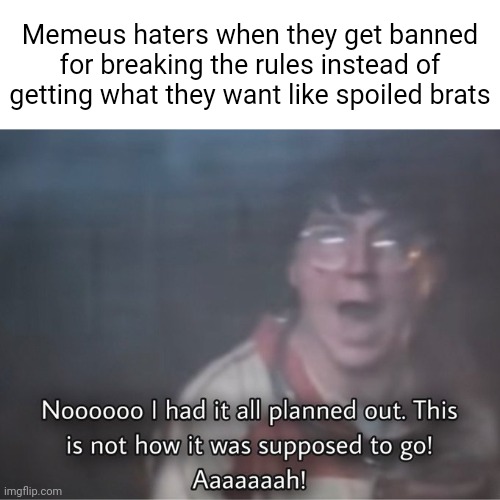 Don't break the rules and you won't get banned. Simplez! | Memeus haters when they get banned for breaking the rules instead of getting what they want like spoiled brats | image tagged in nooooo i had it all planned out,memeus,memeus haters taking another l | made w/ Imgflip meme maker