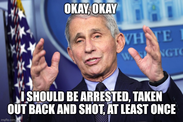Fauchi | OKAY, OKAY I SHOULD BE ARRESTED, TAKEN OUT BACK AND SHOT, AT LEAST ONCE | image tagged in fauchi | made w/ Imgflip meme maker