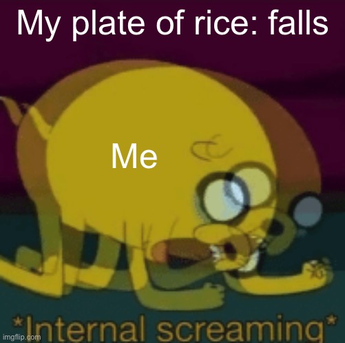 Bro I just wanted to eat | My plate of rice: falls; Me | image tagged in jake the dog internal screaming,rice,falling,annoying | made w/ Imgflip meme maker