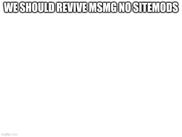 Fr dude -Jacob | WE SHOULD REVIVE MSMG NO SITEMODS | made w/ Imgflip meme maker