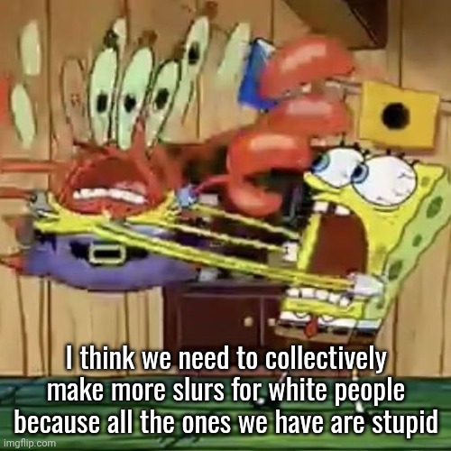 SpongeBob shaking Mr. Krabs | I think we need to collectively make more slurs for white people because all the ones we have are stupid | image tagged in spongebob shaking mr krabs | made w/ Imgflip meme maker