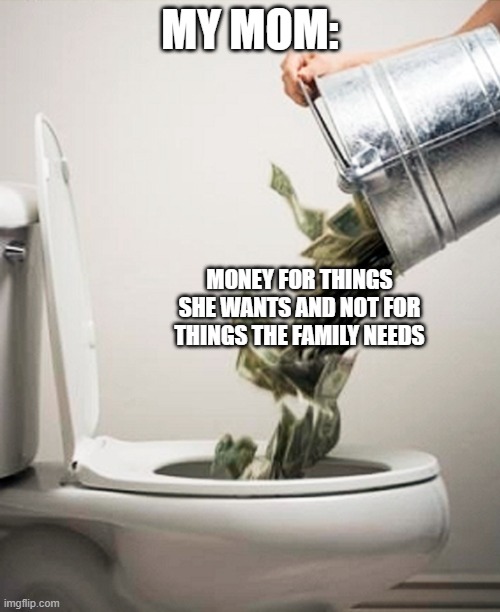 She buys fancy purses, she gets EVERYTHING for herself. | MY MOM:; MONEY FOR THINGS SHE WANTS AND NOT FOR THINGS THE FAMILY NEEDS | image tagged in money down the drain,memes,funny,true,accurate,so true memes | made w/ Imgflip meme maker