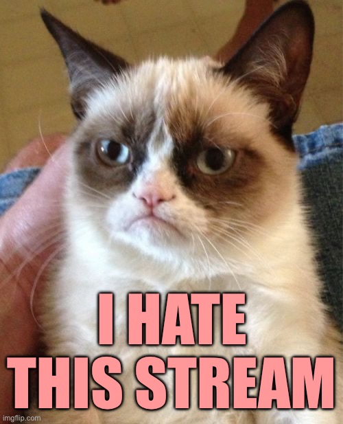 Grumpy Cat | I HATE THIS STREAM | image tagged in memes,grumpy cat | made w/ Imgflip meme maker