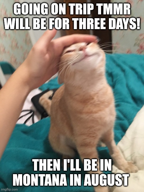Man collage trips are fun! | GOING ON TRIP TMMR
WILL BE FOR THREE DAYS! THEN I'LL BE IN MONTANA IN AUGUST | image tagged in cat pat | made w/ Imgflip meme maker