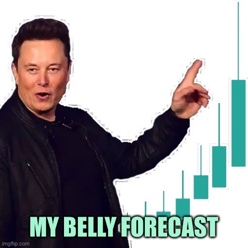 Elon | MY BELLY FORECAST | image tagged in elon | made w/ Imgflip meme maker
