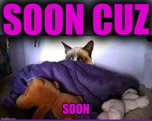 Making Plans Grumpy | SOON CUZ SOON | image tagged in making plans grumpy | made w/ Imgflip meme maker