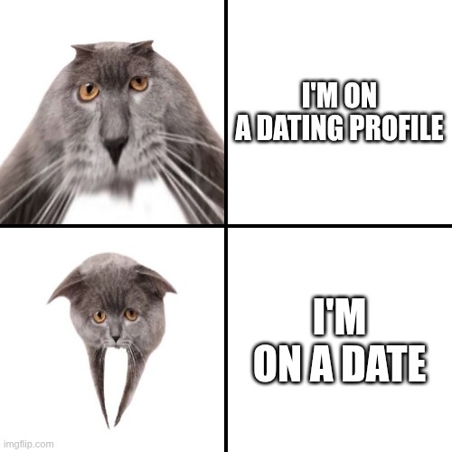 Dating profile vs Date | I'M ON A DATING PROFILE; I'M ON A DATE | image tagged in oberezhnometano,cats,dating,date,expectation vs reality,kotsiubiiv | made w/ Imgflip meme maker
