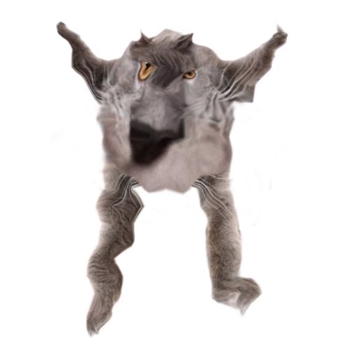 Neoberezhnometano Blank Meme Template