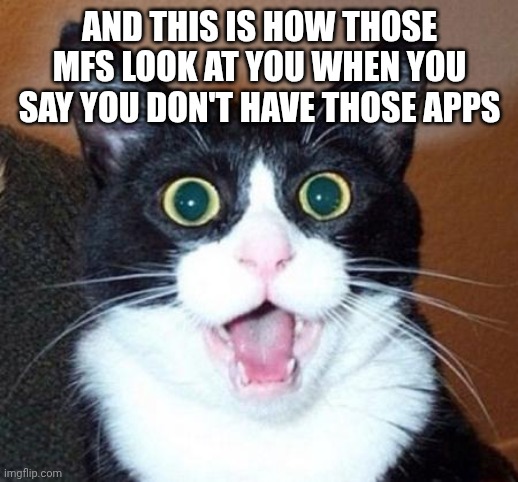Surprised cat lol | AND THIS IS HOW THOSE MFS LOOK AT YOU WHEN YOU SAY YOU DON'T HAVE THOSE APPS | image tagged in surprised cat lol | made w/ Imgflip meme maker