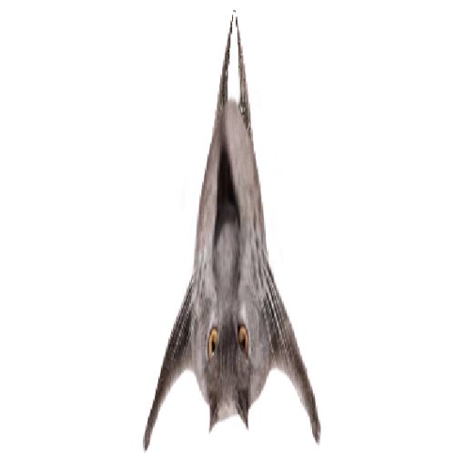 Neoberezhnometano Blank Meme Template