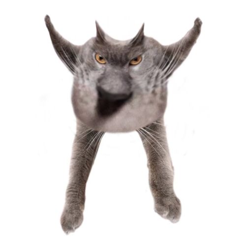 Neoberezhnometano Blank Meme Template