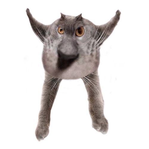 Neoberezhnometano Blank Meme Template