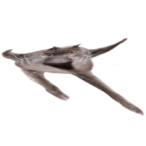 Neoberezhnometano Blank Meme Template
