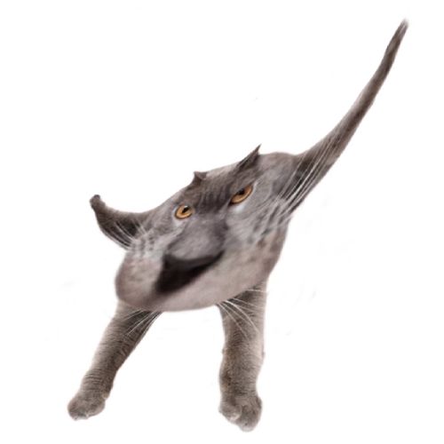 Neoberezhnometano Blank Meme Template