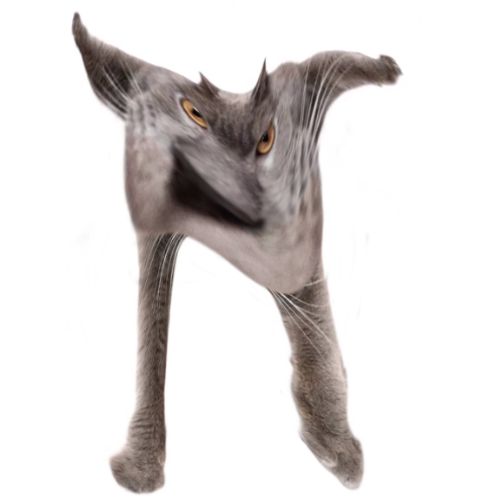 Neoberezhnometano Blank Meme Template