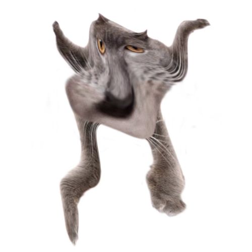 Neoberezhnometano Blank Meme Template