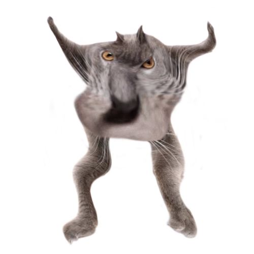 Neoberezhnometano Blank Meme Template