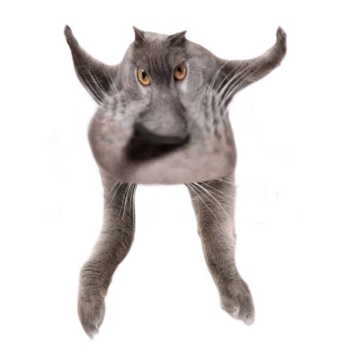 Neoberezhnometano Blank Meme Template