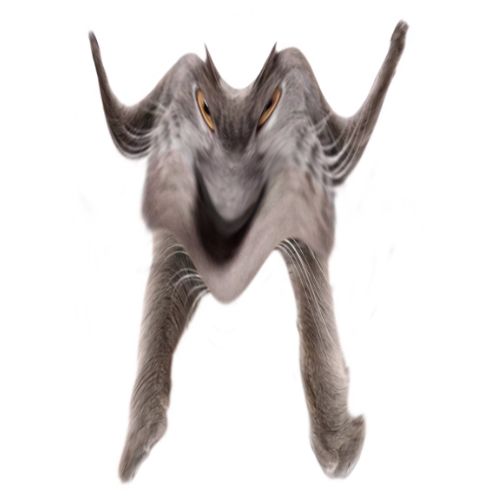 Neoberezhnometano Blank Meme Template