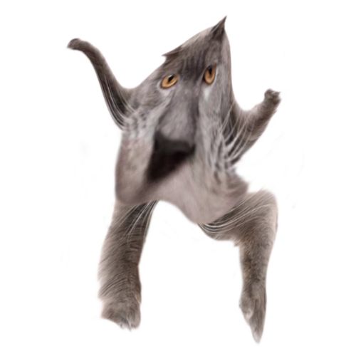 Neoberezhnometano Blank Meme Template