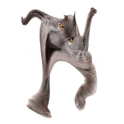 Neoberezhnometano Blank Meme Template