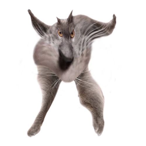 Neoberezhnometano Blank Meme Template