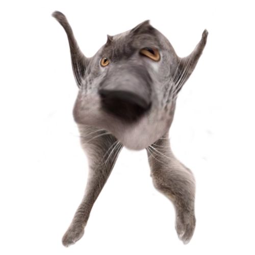 Neoberezhnometano Blank Meme Template