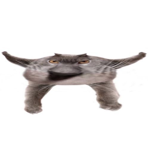 Neoberezhnometano Blank Meme Template