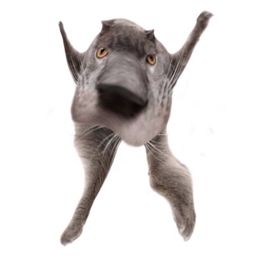 Neoberezhnometano Blank Meme Template