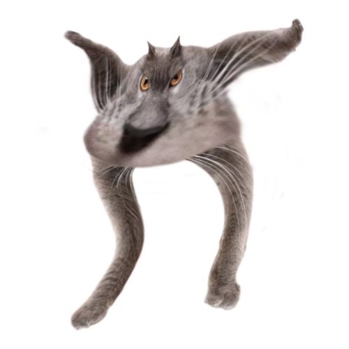 Neoberezhnometano Blank Meme Template
