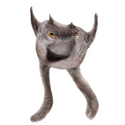 Neoberezhnometano Blank Meme Template