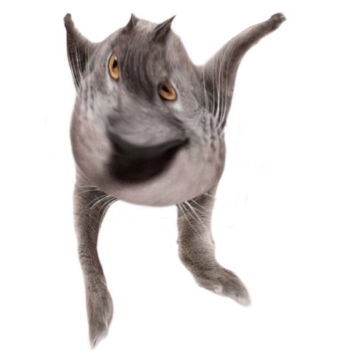 Neoberezhnometano Blank Meme Template